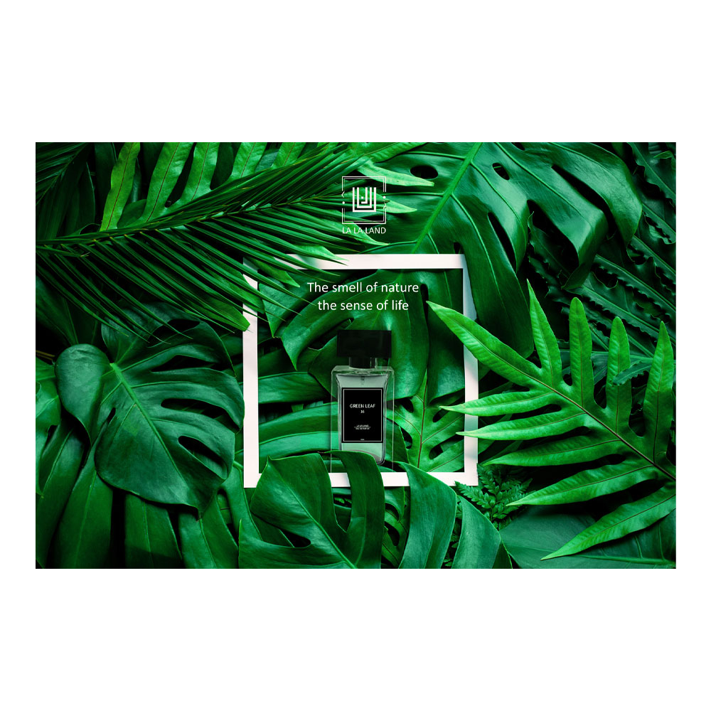 ادوپرفیوم مردانه GREEN LEAF لالالند LA LA LAND