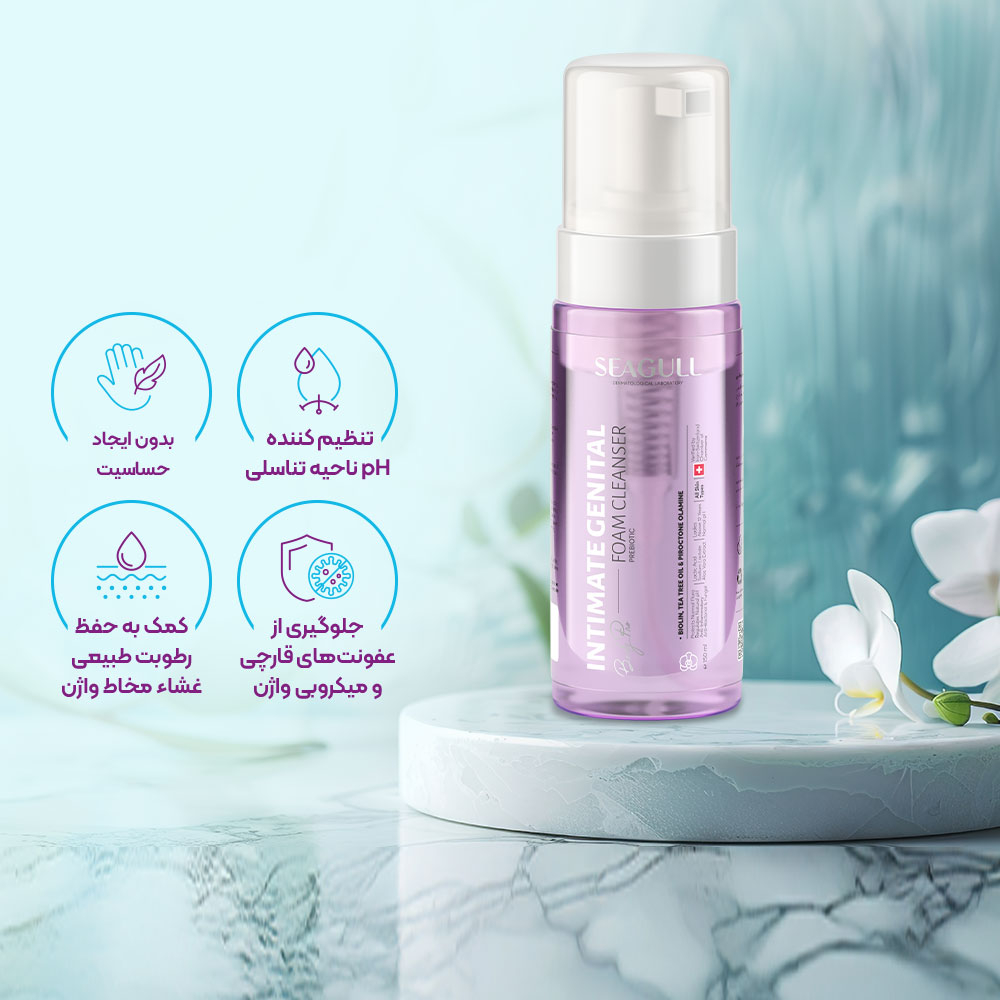 فوم بهداشتی بانوان سی گل SEAGULL