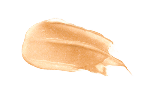 پرایمر استیکی براق فتوفوکس وت اند وایلد wetnwild