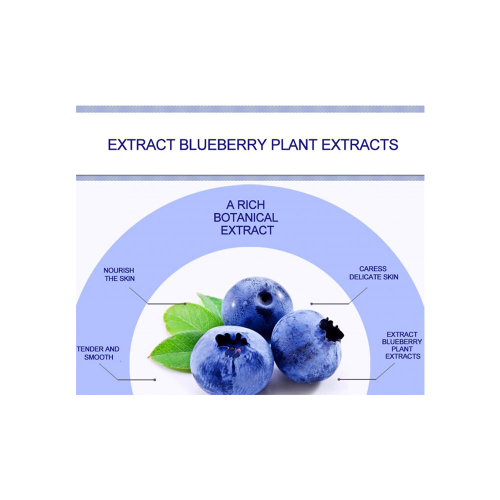 کرم جوان کننده و آبرسان پوست بلوبری بیوآکوا BIOAQUA