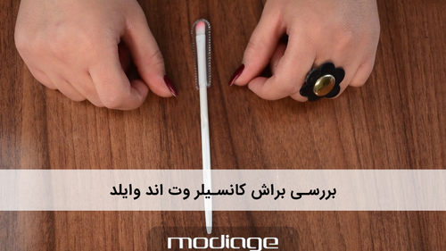 براش کانسیلر وت اند وایلد Concealer Brush