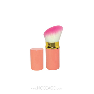 براش رژگونه دردار مدل Z 324 زد وان Z.ONE
