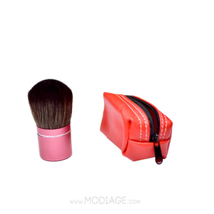 براش پودر و رژگونه Cp کیف دار شی رز Sh-Rose