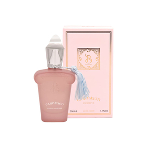 عطر جیبی زنانه و مردانه Carnation برندینی Brandini