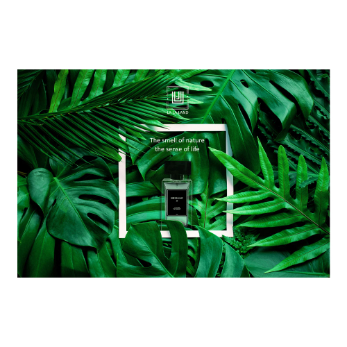 ادوپرفیوم مردانه GREEN LEAF لالالند LA LA LAND